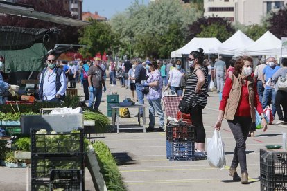 Varias personas compran en el mercadillo hortofrutícola de Las Torres durante la pandemia. / ECB