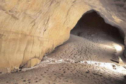 El hallazgo por parte de Edelweis de centenares de improntas en algunas de las cavidades de Ojo Guareña marcaron el inicio de su apertura al gran público.-Edelweis