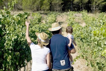 La Ruta del Vino dedicará parte de la ayuda a invertir en promoción y accesibilidad. ECB