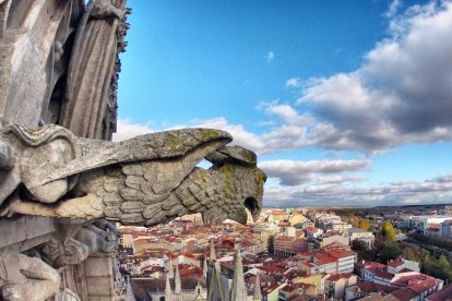 Detalle de una gárgola de la Catedral con la ciudad de fondo. ISRAEL L. MURILLO