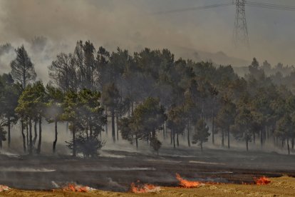 Imagen de un incendio forestal. ECB