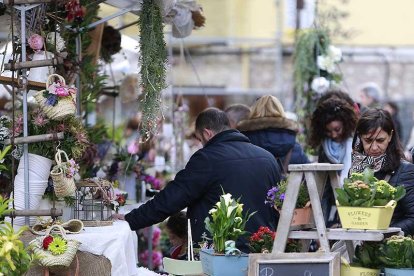 La plaza de la Flora aparece casi irreconocible bajo el manto de flores que la cubre estos días.-RAÚL OCHOA