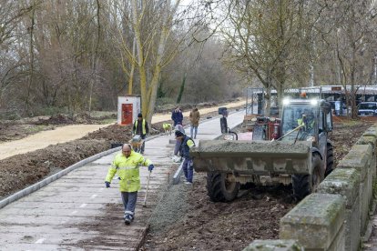 Los trabajadores de la empresa Herrero Temiño en un momento de las obras del carril bici. SANTI OTERO