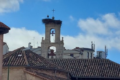 Una cigüeña recién llegada al monasterio de Santa Clara. L. G. L.