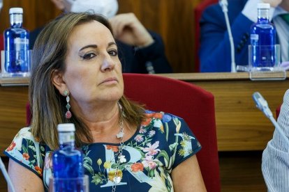 Rosario Pérez Pardo recibe el apoyo del equipo de Gobierno después de que el PP pidiese su reprobación. SANTI OTERO