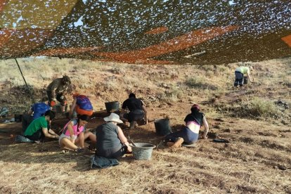 Los excavadores llegan de Galicia, Aragón, País Vasco, Madrid, Islas Baleares, La Rioja, Castilla-La Mancha, Castilla y León y la propia comarca . COLECTIVO ARQUEOLÓGICO DE SALAS