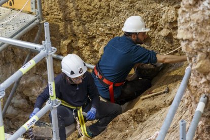 Zona de pendiente. Nivel 7 Elefante de unos 1,4 millones de años. Edgar Téllez, junto a la pared, participa en la excavación SANTI OTERO