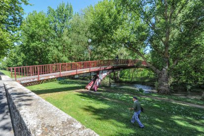 Imagen de la orilla del río Arlanzón. ISRAEL L. MURILLO