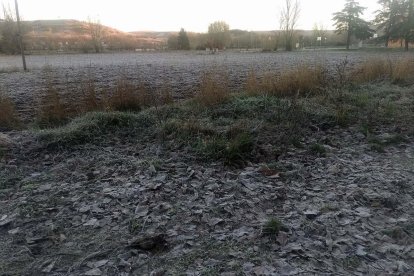 Con esta helada sobre los campos se amaneció ayer en el barrio del Pilar de la capital burgalesa.-S. L. C.