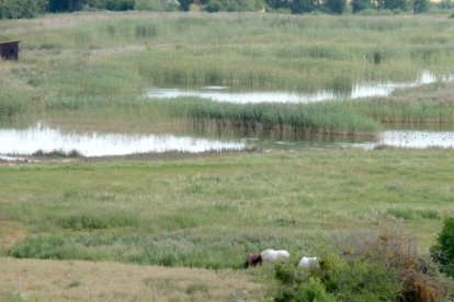 Las lagunas de Atapuerca serán el eje de los contenidos del primer taller.-M. M.