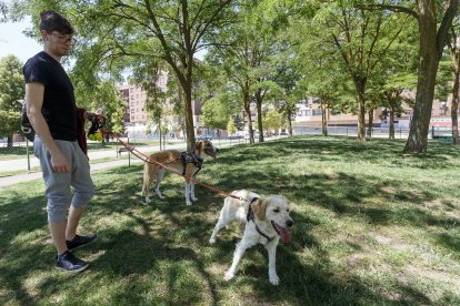 Perros y dueños disfrutan de las áreas de esparcimiento canino. SANTI OTERO