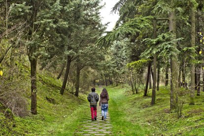 La Oficina Verde de la Universidad plantea más de 30 propuestas medioambientales. ISRAEL L. MURILLO