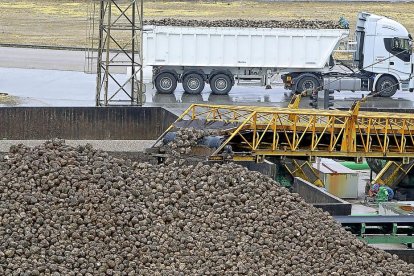 Un camión espera para descargar la remolacha en la fábrica que la cooperativa Acor tiene en Olmedo (Valladolid).-J.M.LOSTAU