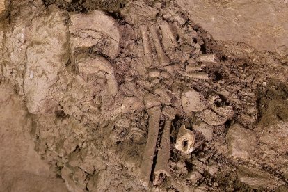 Restos humanos recuperados en el nivel 5 del abrigo de Ana Zaga. FUNDACIÓN  ATAPUERCA