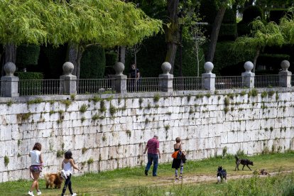 Varias personas pasean a su perro a la orilla del Río Arlanzón. SANTI OTERO