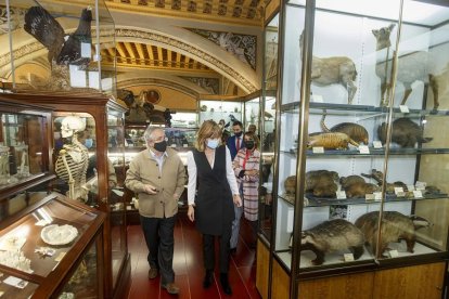 La ministra de Educación, Pilar Alegria, en el Museo de Historia Natural del IES López de Mendoza. SANTI OTERO