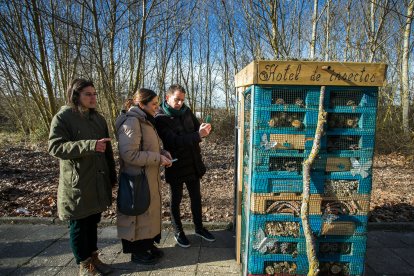 Uno de los hoteles de insectos, junto al parque infantil y las pistas deportivas de Parralillos. TOMÁS ALONSO