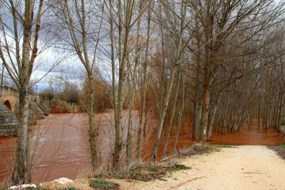 El río ha comenzado a invadir el camino que separa el río de la zona docente, cuyo vallado puede verse a la derecha de la imagen, a pocos metros del agua.-P. A.