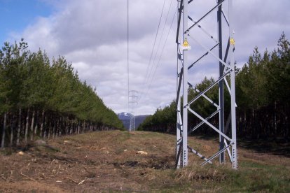 La adjudicación asciende a 7,5 millones de euros para los próximos tres ejercicios. TALARTOS