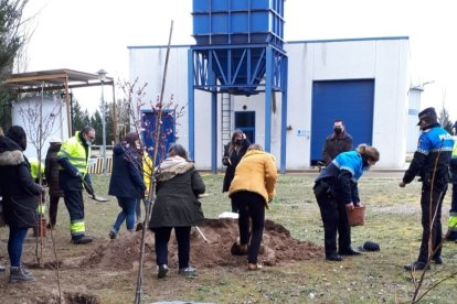 Junto a la alcaldesa han participado representantes femeninas de la sociedad arandina
