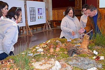 Exposición durante la segunda edición de las Jornadas Micológicas de Quintanar el año pasado.-R. F.