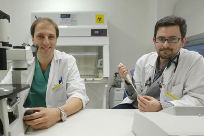 Los doctores José Ángel Pérez Rivera y Daniel Al Kassam Martínez, en el laboratorio.-ISRAEL L. MURILLO