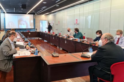 El Grupo de Trabajo sobre Movilidad, Transporte y Logística para el análisis del desarrollo del Corredor Atlántico dentro de la Red Transeuropea de Transporte. ICAL