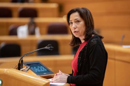 Mar Arnáiz durante una intervención en el Senado. PSOE