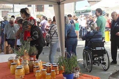 Las ferias de Briviesca, Cubo y Busto contaron con el mismo número de expositores.-G. GONZÁLEZ