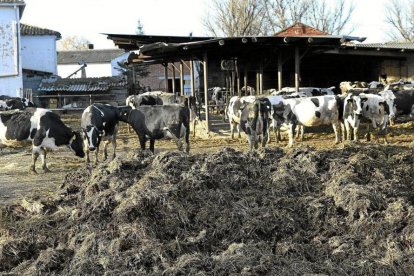 A penas quedan medio centenar de explotaciones ganaderas en la provincia.