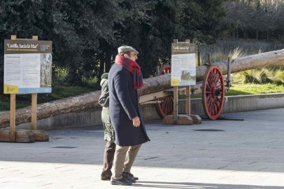 El enorme pino permanece aorillado en un extremo del paseo de Atapuerca para no entorpecer el tránsito peatonal en la zona. SANTI OTERO