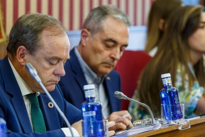 Fernando Martínez-Acitores y Ángel Martín, concejales de Vox, durante un pleno municipal. SANTI OTERO