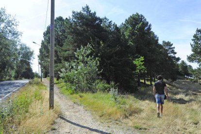 Un paseante transita por un camino a orillas de la carretera de Cortes.-ISRAEL L. MURILLO