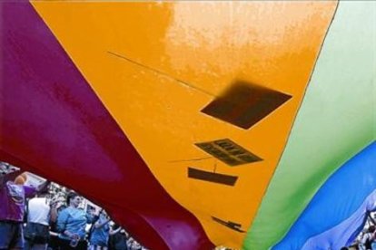 Manifestación por los derechos de los homosexuales.-EFE / Alberto Estévez