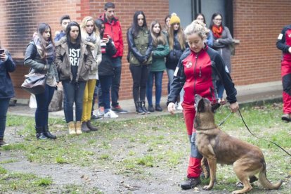 Los alumnos desplazados desde Madrid pudieron comprobar la interrelación de los perros con los miembros del GREM, relación imprescindible para lograr que el trabajo tenga éxito.-ISRAEL L. MURILLO