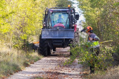 Trabajos de mantenimiento de caminos en el cerro de San Miguel para prevenir los incendios. TOMÁS ALONSO