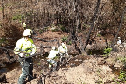 <p> Actuaciones Incendio Sierra La Culebra 3 cabecera arroyo Riofrío </p>