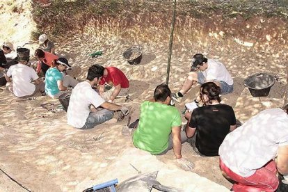 El equipo investigador cuenta con voluntarios de toda España que cursan o han finalizado estudios de Biología, Geología o Arqueología.-C.A.S.