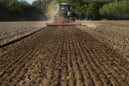 Un trabajador realiza labores agrícolas en una parcela de Salamanca.-ENRIQUE CARRASCAL