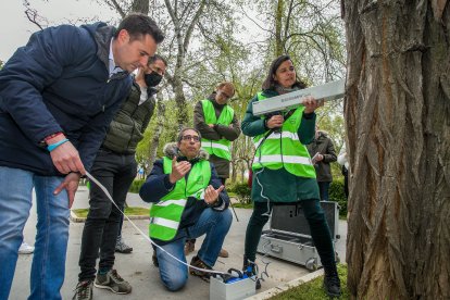 Los técnicos muestran cómo funciona el resistógrafo. TOMÁS ALONSO