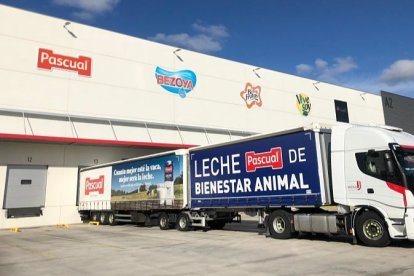 Pascual seguirá produciendo leche pese al paro del sector