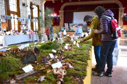 Micología y gastronomía se fusionan en Quintanar de la Sierra. R. FERNÁNDEZ