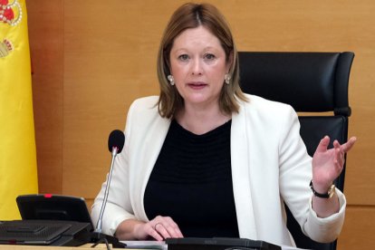 Irene Cortés, directora de la Agencia de Protección Civil de Castilla y León. ICAL