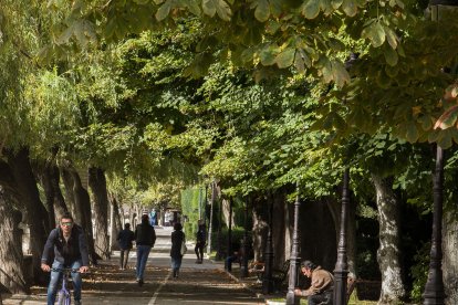 Una cúpula verde sobree el paseo Marceliano Santamaría de sauces llorones, castaños de Indias, tejos y algún pinsapo.