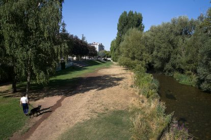 Una mujer pasea por las riberas del Arlanzón en la capital burgalesa junto a un  perro. TOMÁS ALONSO