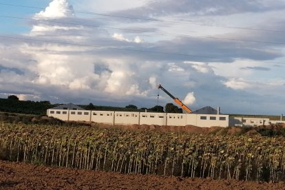 Imagen de la nueva granja que se va a construir en San Juand el Monte