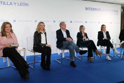 Ayala participó en la Segunda Mesa titulada “Castilla y León, un motor de progreso. Infraestructuras e industria”, dentro de la Interparlamentaria de Castilla y León a la que acuden los diputados, senadores y procuradores de la Comunidad. ICAL