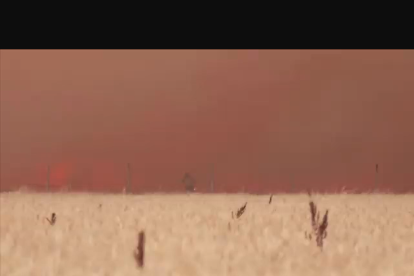 <p> Un hombre consigue salvar su vida ante las llamas en Zamora </p>