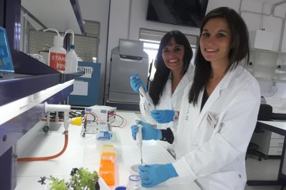 Patricia Teresa Espinosa y María del Monte Maíz en las instalaciones de la Universidad Católica de Ávila.-ANTONIO GARCÍA