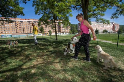 Unas personas pasean a sus perros en el parque Buenavista de Gamonal. TOMÁS ALONSO